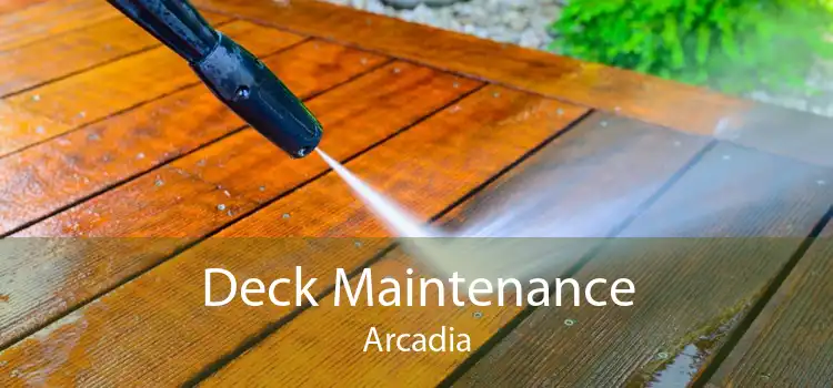 Deck Maintenance Arcadia